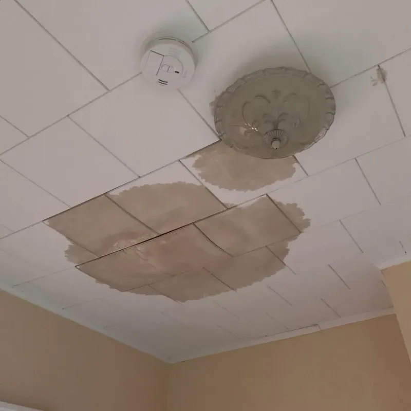 Ceiling Water Damage Repair in Old Mystic, CT