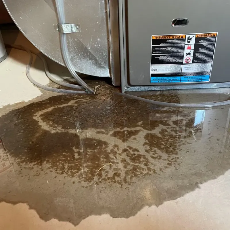 Pipe Burst and Leak Restoration in Old Mystic, CT