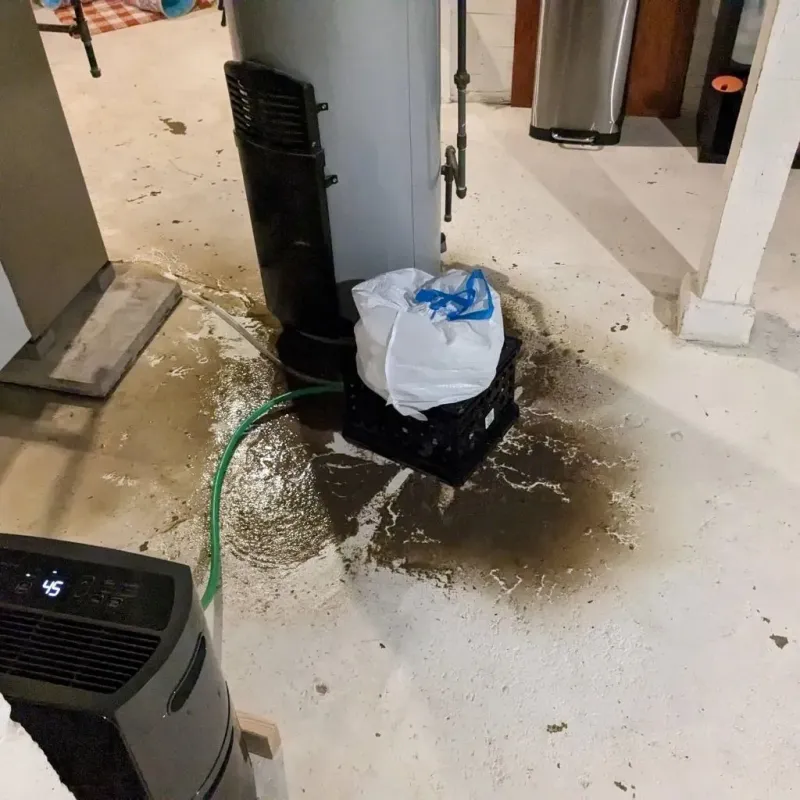 Sewage Backup Cleanup Service in Old Mystic, CT